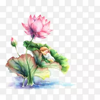 水彩画莲花-空若网 水彩画莲花-空若网