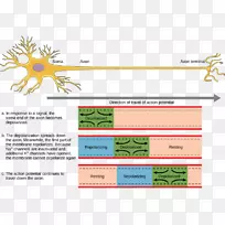 ������λ��ϵͳ��Ԫ����ͻ˼ά״̬-������