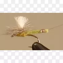 昆虫人工飞干石-空若网 昆虫人工飞干石-空若网