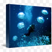 海洋海洋生物公共水族馆水下气泡-空若网 海洋海洋生物公共水族馆水下气泡-空若网