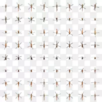 线点角星字形线-空若网 线点角星字形线-空若网