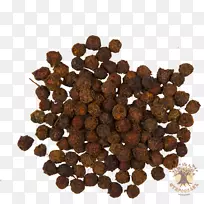 红山楂(Crataegus Sanguineauglis)药用植物玫瑰花-山楂(Crataegus)-空若网 红山楂(Crataegus Sanguineauglis)药用植物玫瑰花-山楂(Crataegus)-空若网