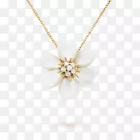 珍珠项链魅力和吊坠珠宝首饰模型-空若网 珍珠项链魅力和吊坠珠宝首饰模型-空若网