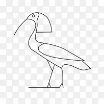 �Ű������������������-����-������