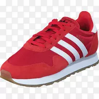 �˶�ЬЬ�갢�ϴ�˹����-���ϴ�˹-������