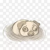 狗素描-空若网 狗素描-空若网