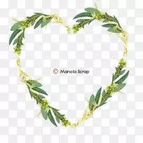 植物茎花劳动博客快感-空若网 植物茎花劳动博客快感-空若网