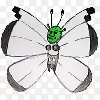 ë���׵ĺ����ɶ�����������������-������