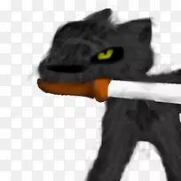 胡须,猫毛,鼻子,字体-猫-空若网 胡须,猫毛,鼻子,字体-猫-空若网