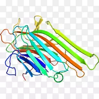 线点生物剪贴画线-空若网 线点生物剪贴画线-空若网