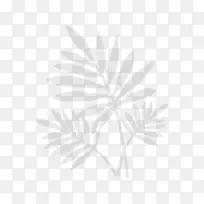 ����ֲ��ϵҶƬ��֦ϵ-������