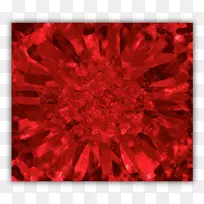 �Գ�-�۲���-������