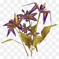 ħ������ҩ��ŷ�����˿���ֲ����ϵ-ħ������-������