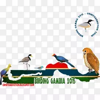 鸟嘴动物野生动物剪贴画翠鸟标志-空若网 鸟嘴动物野生动物剪贴画翠鸟标志-空若网