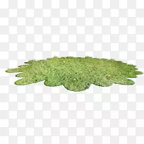 树-树-空若网 树-树-空若网