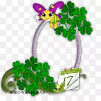 开花动植花-空若网 开花动植花-空若网