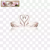 银身首饰.银-空若网 银身首饰.银-空若网