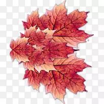 冬季足球生日派对-冬天-空若网 冬季足球生日派对-冬天-空若网