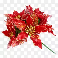切花开花植物花瓣-空若网 切花开花植物花瓣-空若网