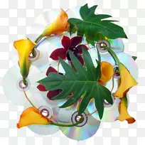 花卉设计植物花盆叶设计-空若网 花卉设计植物花盆叶设计-空若网