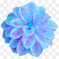 绿松石-摩尔人-空若网 绿松石-摩尔人-空若网