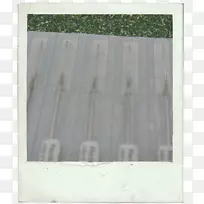 �����ϰ�Ⱦɫ���δ�-������