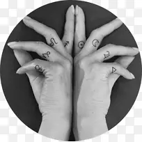 ����������ʮ����Ф��ָ��.����-������