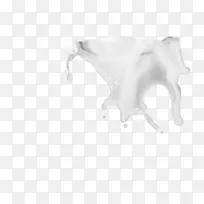 牛身首饰颌骨设计-空若网 牛身首饰颌骨设计-空若网