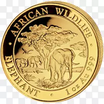 Elephantidae金币索马里金币-空若网 Elephantidae金币索马里金币-空若网