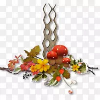 ��������߲�ˮ����-�߲�-������