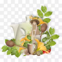 ���벩�ͼ�����-�뿪ƿ��-������