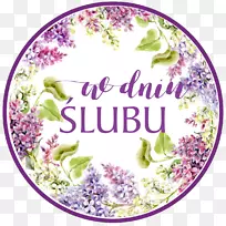 Ö½ÉãÓ°Ë®²Ê»-Ãâ·Ñ»¨-¿ÕÈôÍø Ö½ÉãÓ°Ë®²Ê»-Ãâ·Ñ»¨-¿ÕÈôÍø