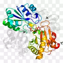 人类行为图形设计树剪贴画树-空若网 人类行为图形设计树剪贴画树-空若网