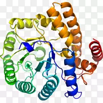 生物线动物剪贴画线-空若网 生物线动物剪贴画线-空若网