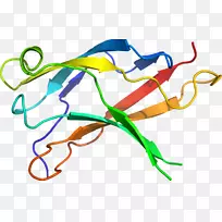 线点生物剪贴画线-空若网 线点生物剪贴画线-空若网