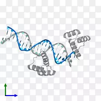 ��־���������弼��-������