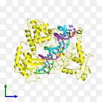 人体珠宝树线条剪贴画-树-空若网 人体珠宝树线条剪贴画-树-空若网