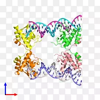 �ߵ�������������-������