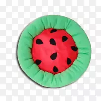 狗猫西瓜宠物赛贡狗-空若网 狗猫西瓜宠物赛贡狗-空若网