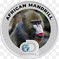 银币加密货币比特币银币-空若网 银币加密货币比特币银币-空若网