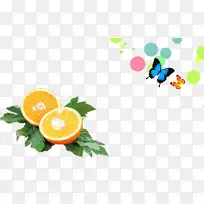 橙汁桌面壁纸.橙色装饰图案-空若网 橙汁桌面壁纸.橙色装饰图案-空若网