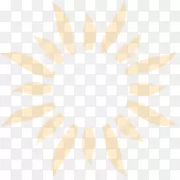 花瓣打火机-空若网 花瓣打火机-空若网