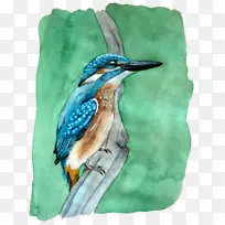 Ë®²Ê»à¹¶¯ÎïȺ-¿ÕÈôÍø Ë®²Ê»à¹¶¯ÎïȺ-¿ÕÈôÍø