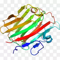 线点生物剪贴画线-空若网 线点生物剪贴画线-空若网