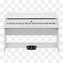 数字钢琴Korg Privia乐器-钢琴-空若网 数字钢琴Korg Privia乐器-钢琴-空若网