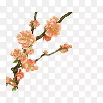 插花艺术-梅花-空若网 插花艺术-梅花-空若网