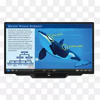 ����ˮƿ����Һ��������ʾ�����������װ��-������