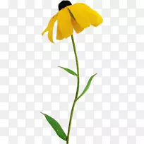 ����ֲ��Ҷ��-������