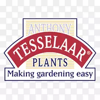 ��֯Ʒ�Ʊ�־������-������