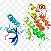 人体首饰有机体线剪贴画线-空若网 人体首饰有机体线剪贴画线-空若网